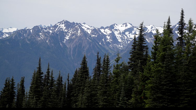 Site reservations to open 4 days in advance at some Olympic National Park campgrounds