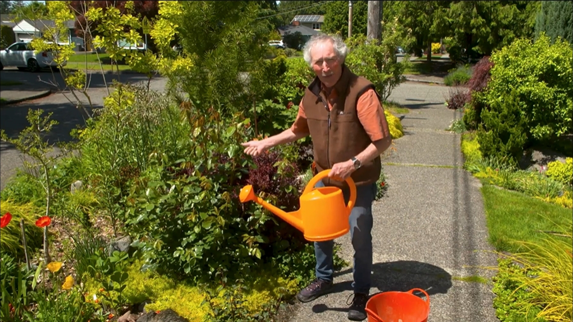 Seattle gardening expert Ciscoe Morris has your mid-summer to-do list. Sponsored by Dramm.