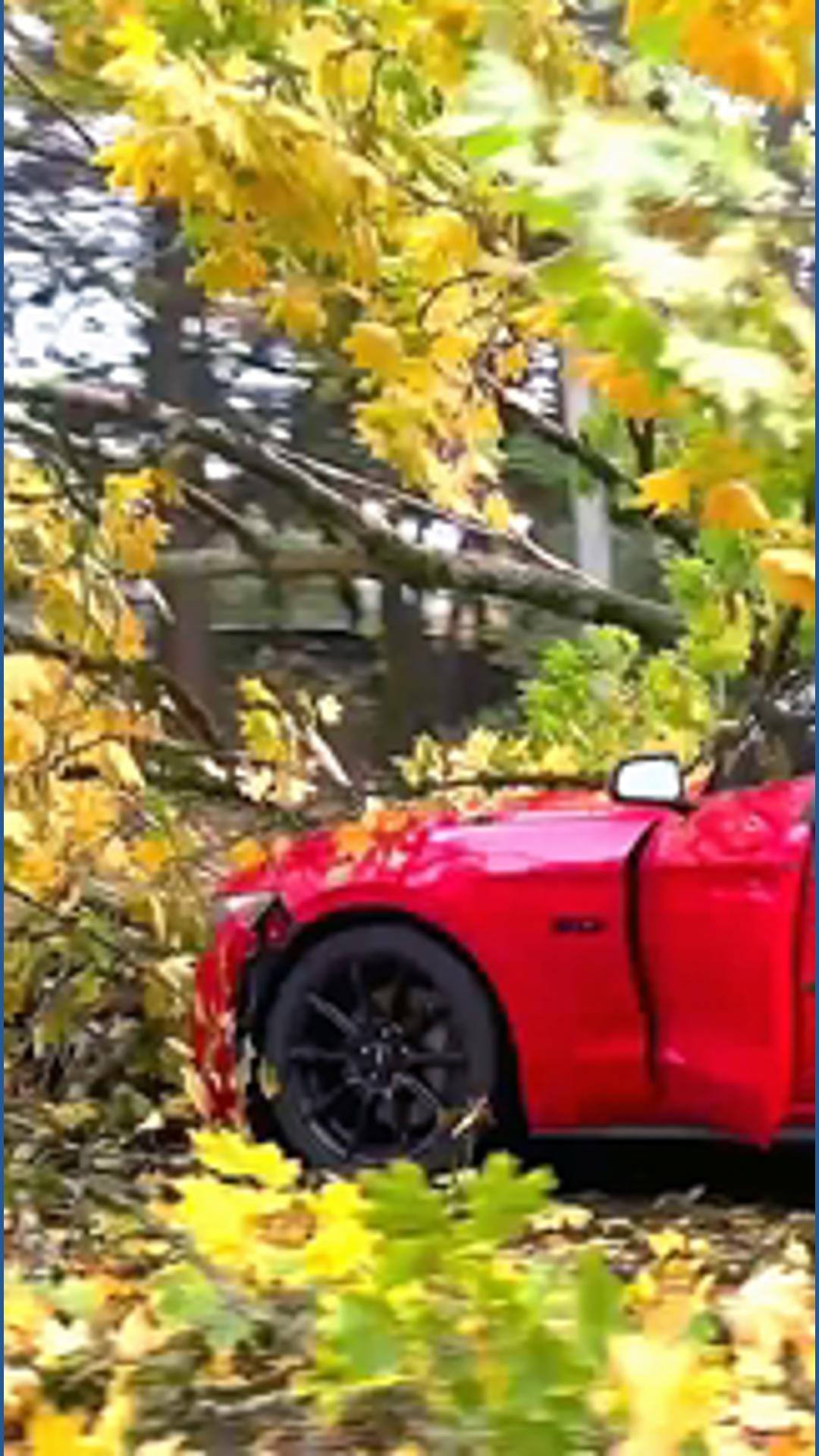 Strong winds leave thousands without power Saturday evening | king5.com