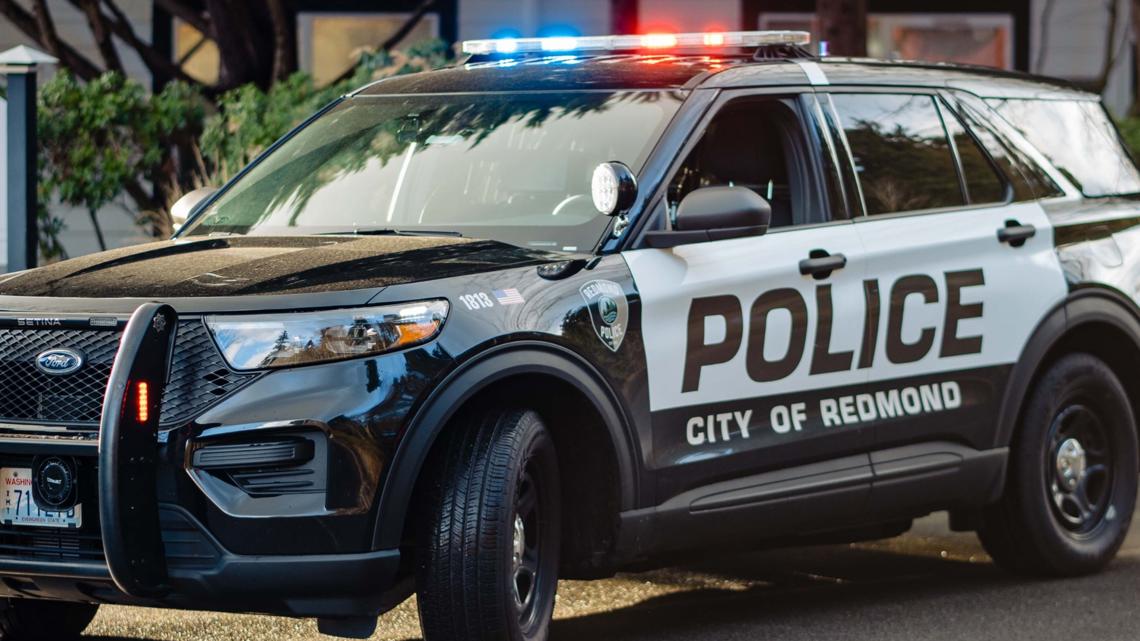 Man turns himself in after confessing to burglary, driving stolen vehicles across state lines