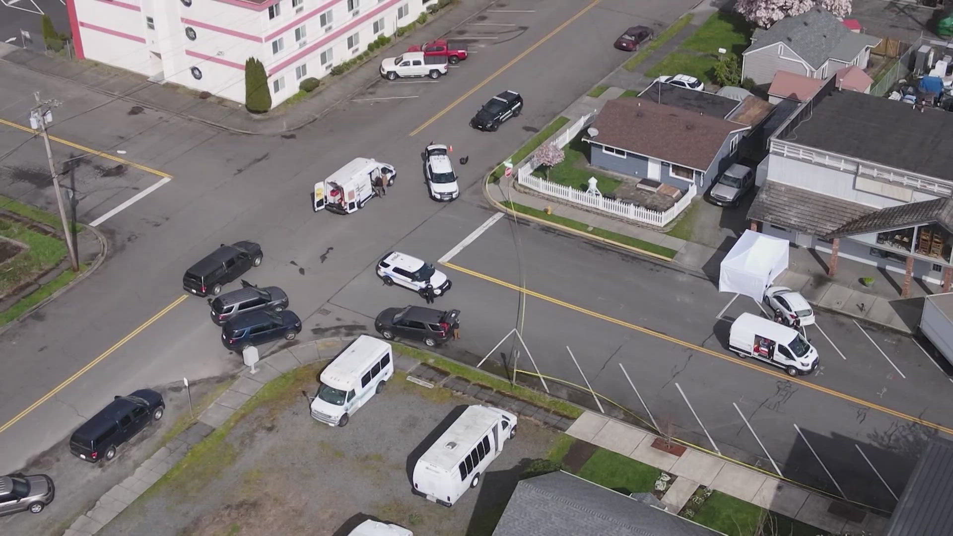 A stabbing in Marysville is under police investigation Monday after an elderly man was found dead.
