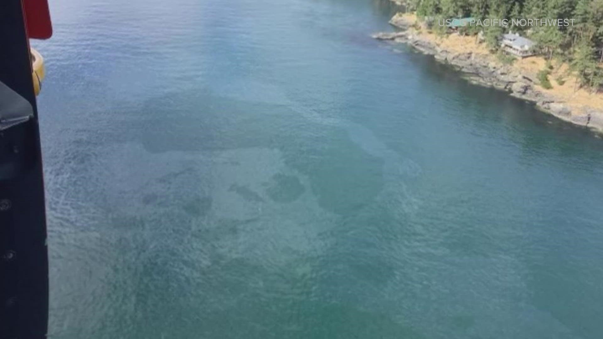 The U.S. Coast Guard and Canadian authorities are collaborating to survey the cleanup.