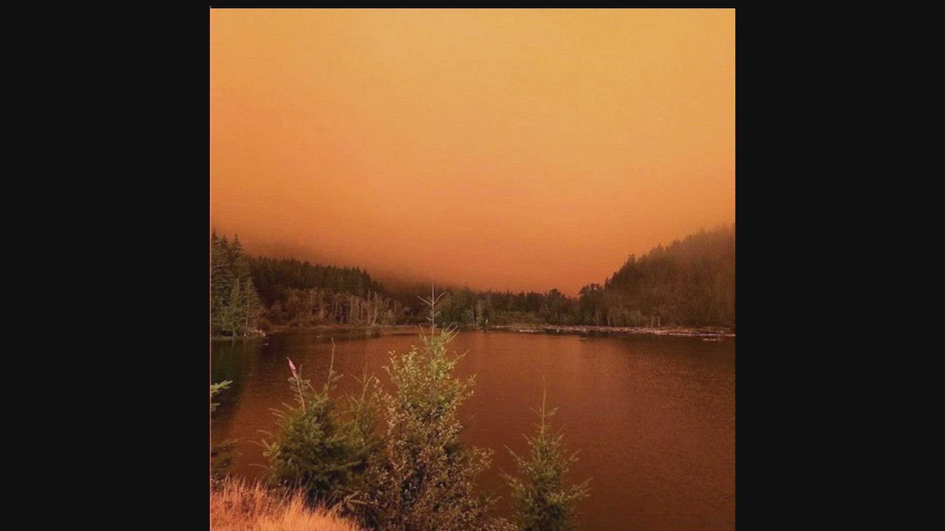 Emergency managers issued Level 3 “Go now” evacuations for areas north of Lake Cushman on Wednesday as the Bear Gulch Fire grows.