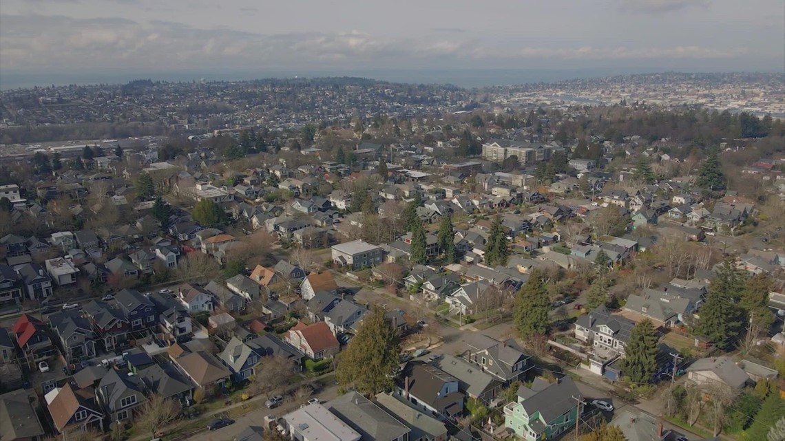 Seattle has lost 255 acres of tree canopy since 2016, report shows ...