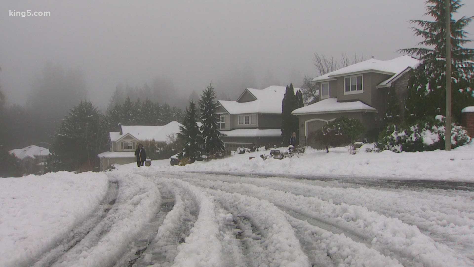 Snow has been replaced by steady rain across Puget Sound Monday, but slush still covers most side streets.