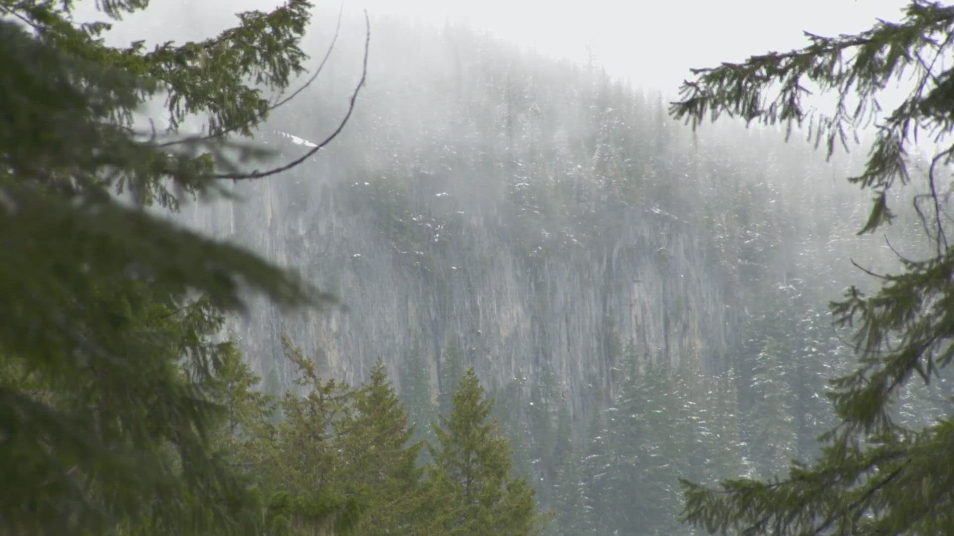 Sheila Kearns, 43, loved her job at Mt. Rainier National Park. When she didn't show up for a shift one fall morning in 1996, her coworkers knew something was wrong.