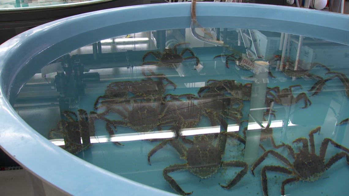 Astaxanthin supplier Astaxanthin supplier