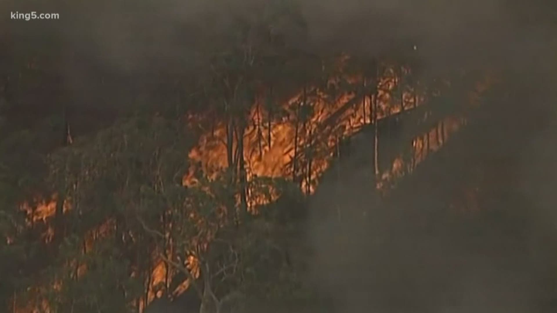 Australian crews have assisted Washington and Alaska with our wildfires.