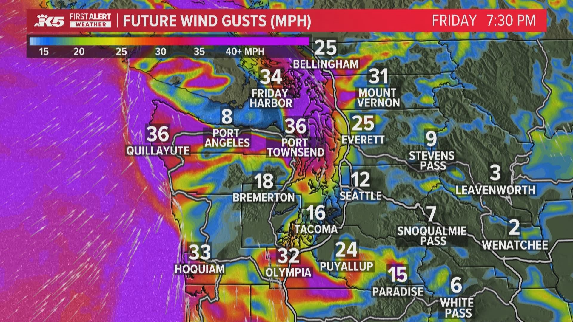 서부 워싱턴, 강풍 주의보 발효…폭우, 정전 대비해야