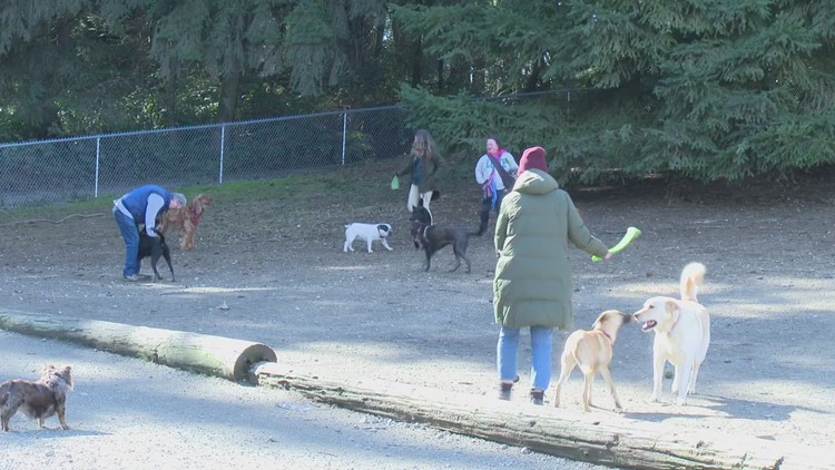 Two new off-leash dog parks coming to Seattle