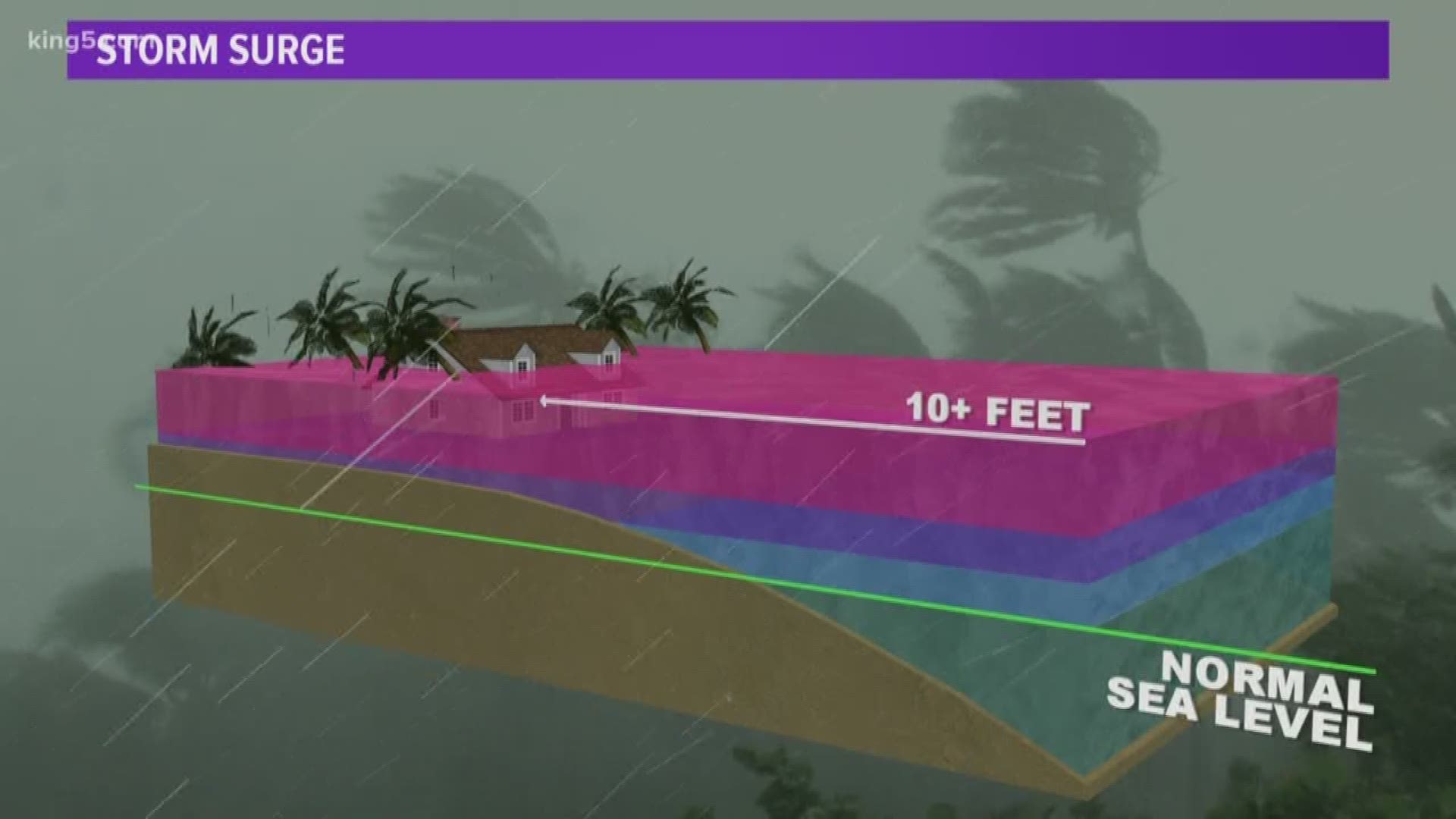 Seattle meteorologist explains storm surge and track of Hurricane