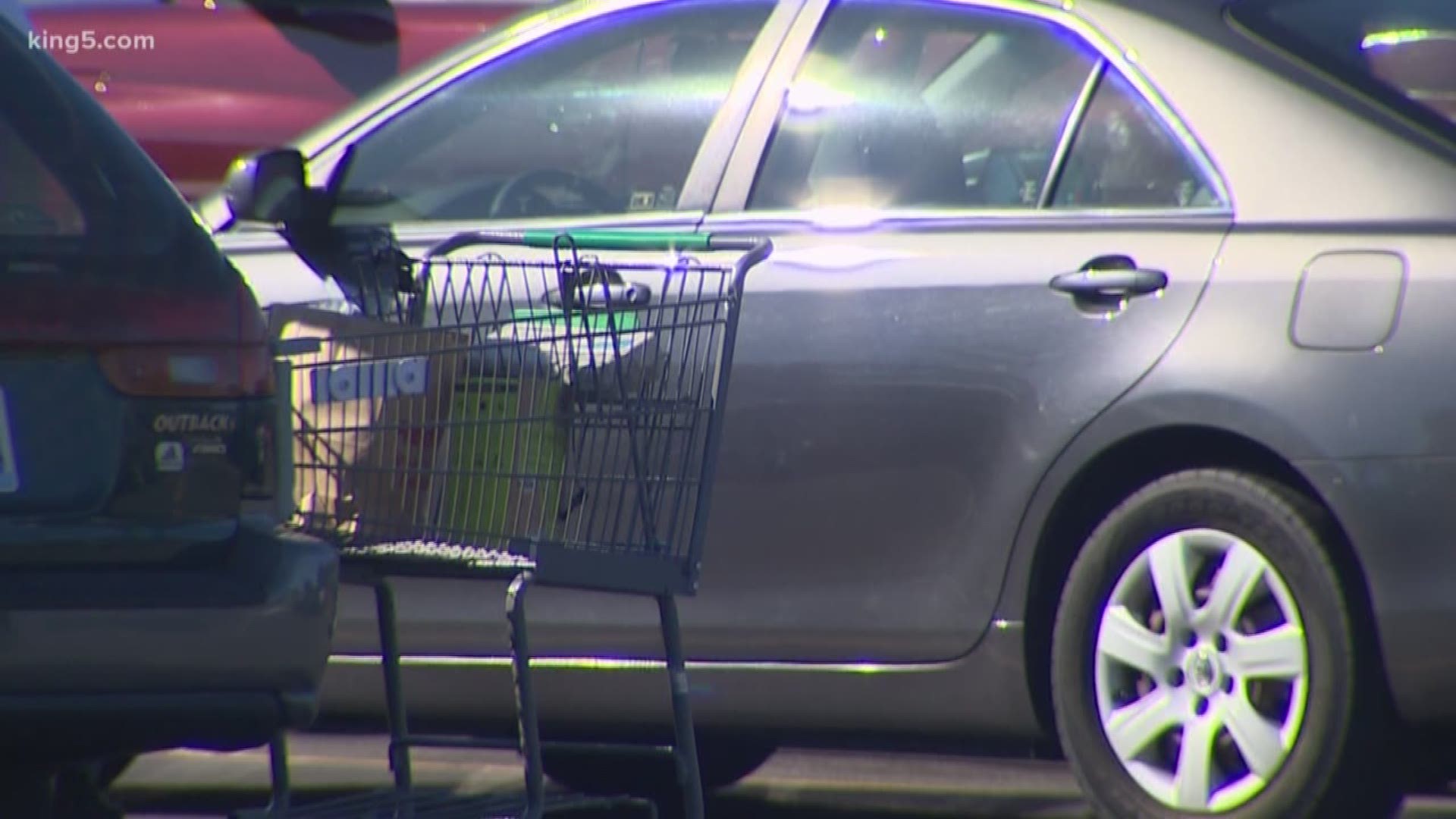 Tacoma Police report an uptick in purse-snatchings this year. KING 5's Jenna Hanchard reports.