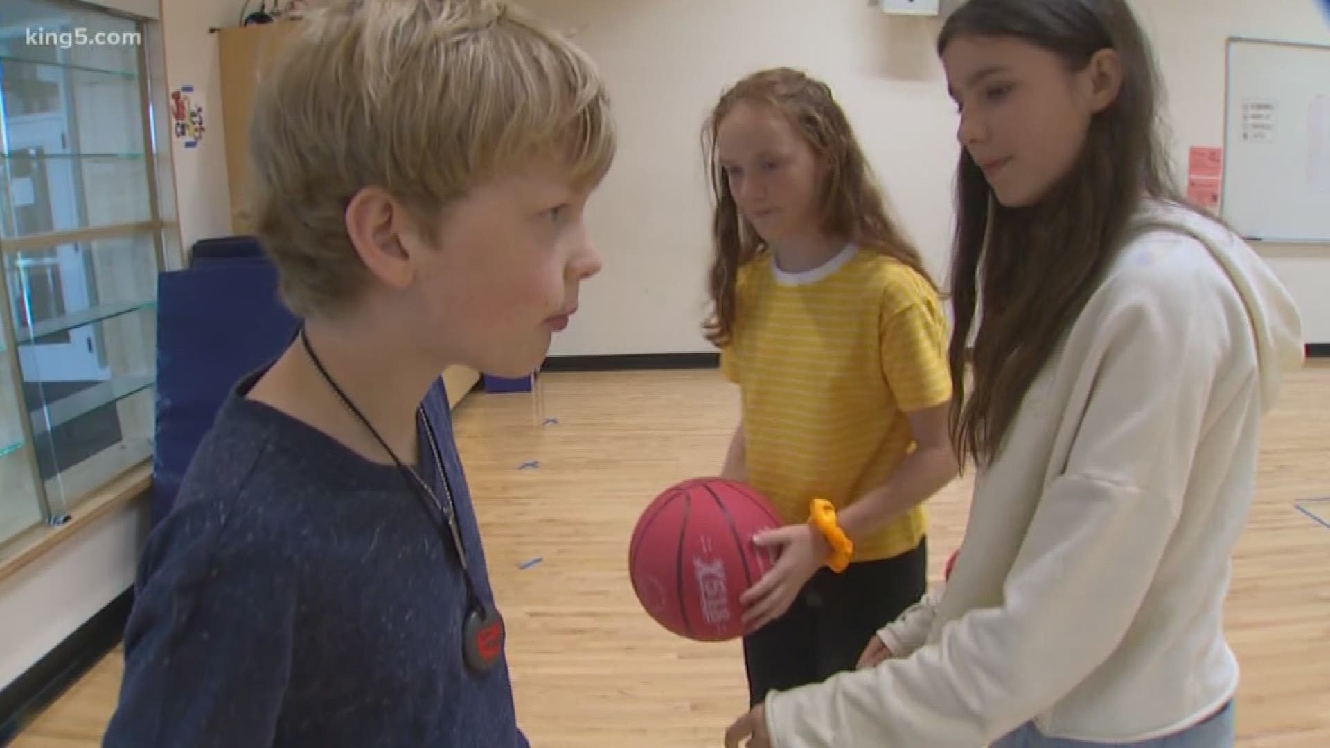 A pilot program in Seattle Public Schools changes how students see themselves and each other. 'Adapted Physical Education' is a P.E. program in six schools district-wide that partners students in special education with students in general education. KING 5's Kaci Aitchison has more.