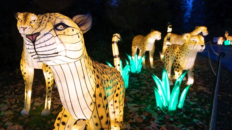 WildLanterns are back at Woodland Park Zoo - What's Up This Week