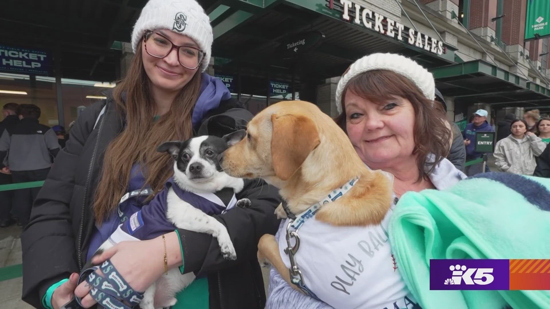 Bark at the Park is a home run for dogs and humans. #k5evening