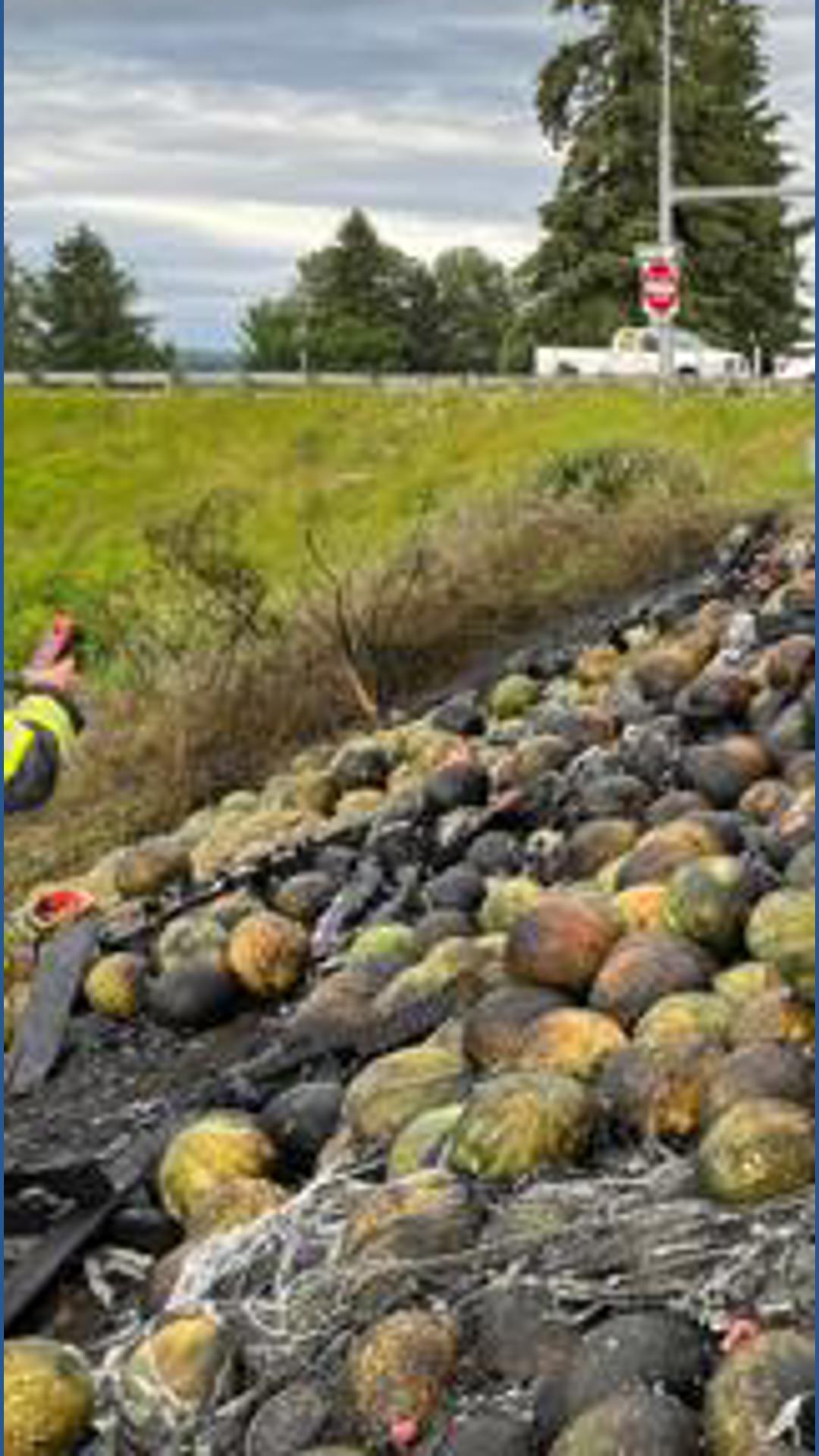 Truck carrying watermelons catches fire in Snohomish County | king5.com