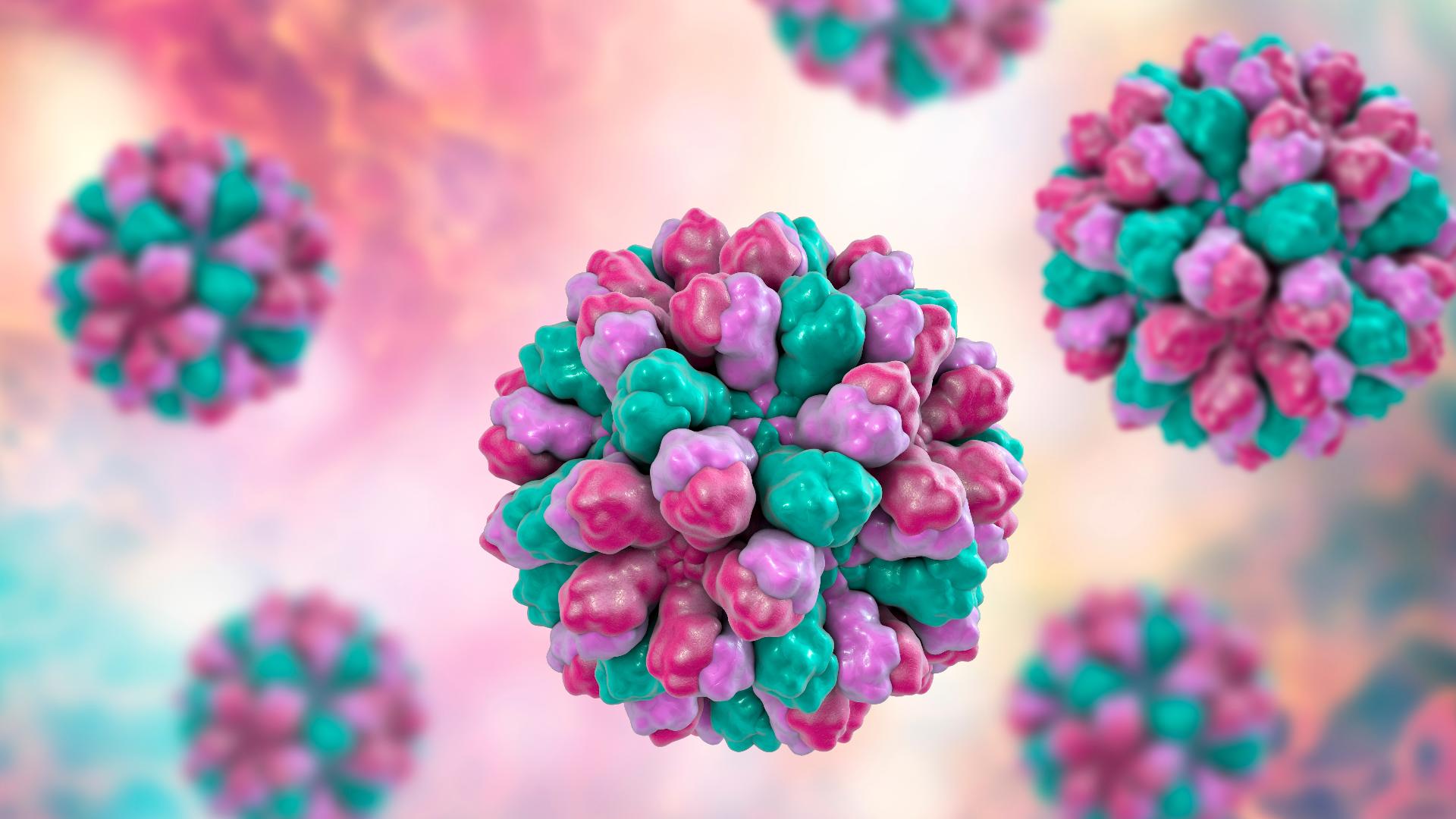 More than 50 students stayed home sick from Discover Elementary last week in what is now a suspected norovirus outbreak 