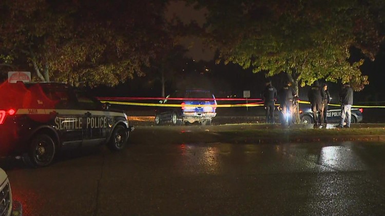 Man fatally shot in West Seattle in Roxhill Park parking lot