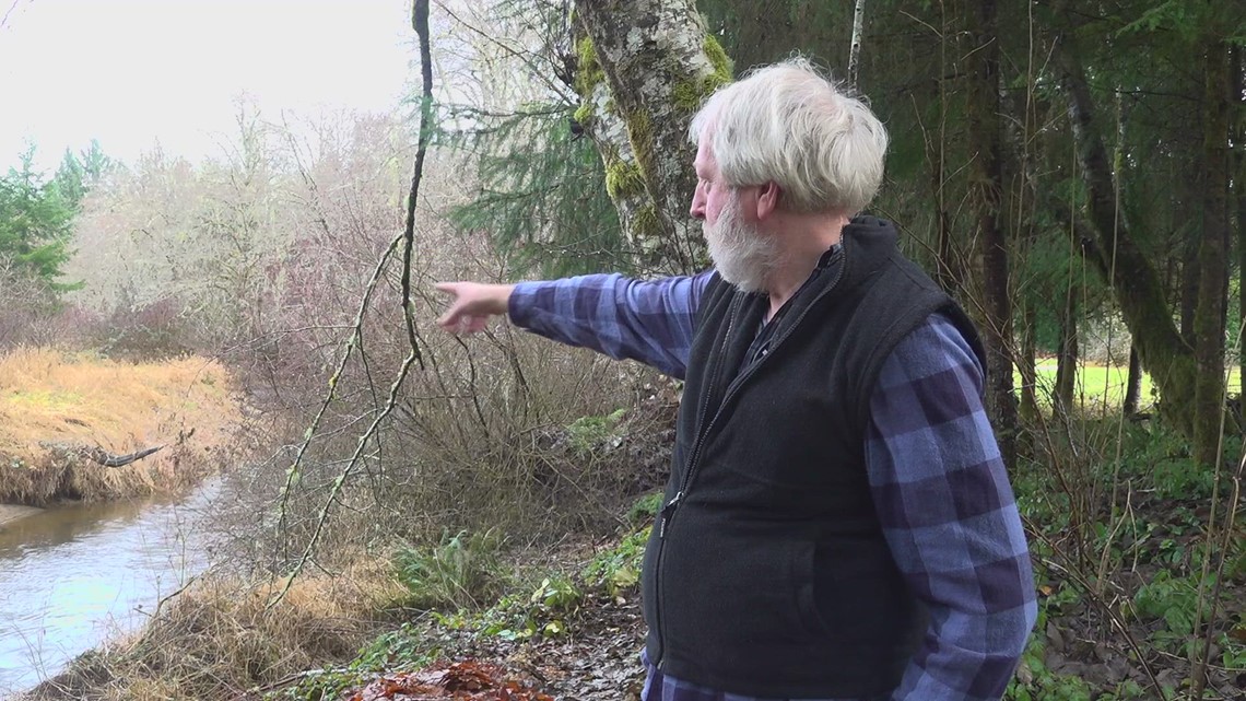 How a Pacific County resident is using old Christmas trees to restore a riverbank - Vimarsana News