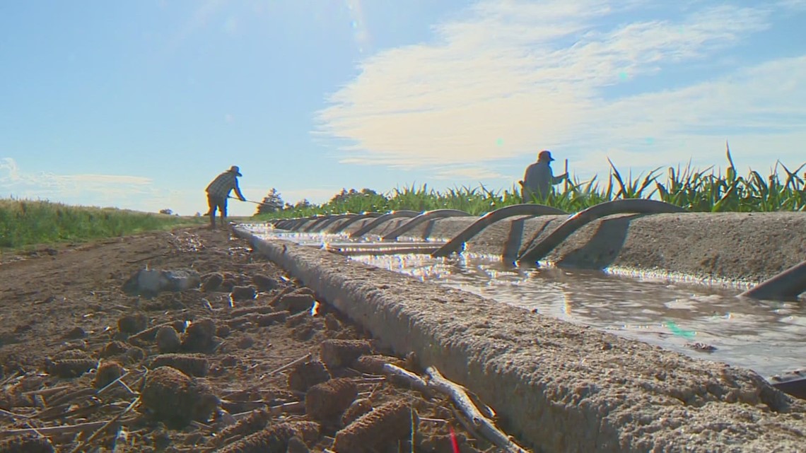 Shrinking snowpack and its impact on Pacific Northwest irrigation