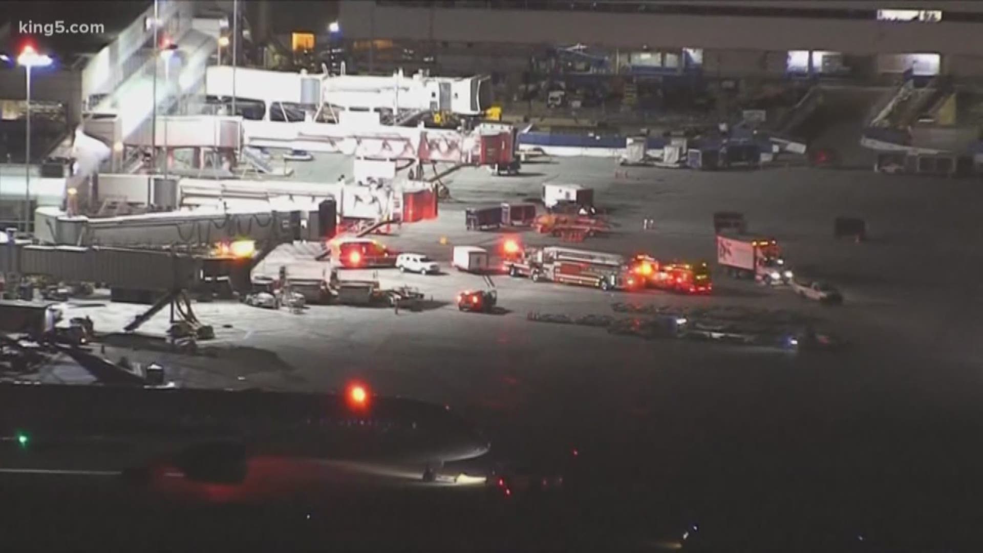 A girl flying on Delta flight 2423 Dec. 26 went into cardiac arrest and died. Police are investigating.