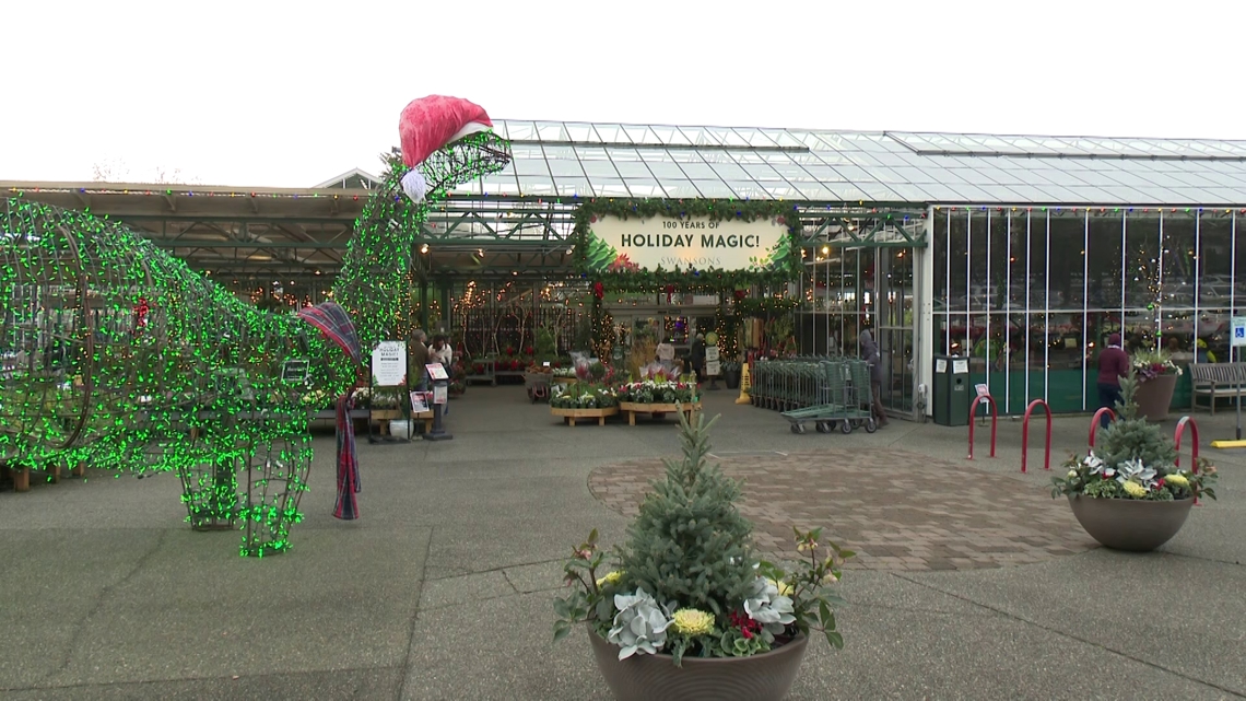 Swansons Nursery celebrating 100 years being in business