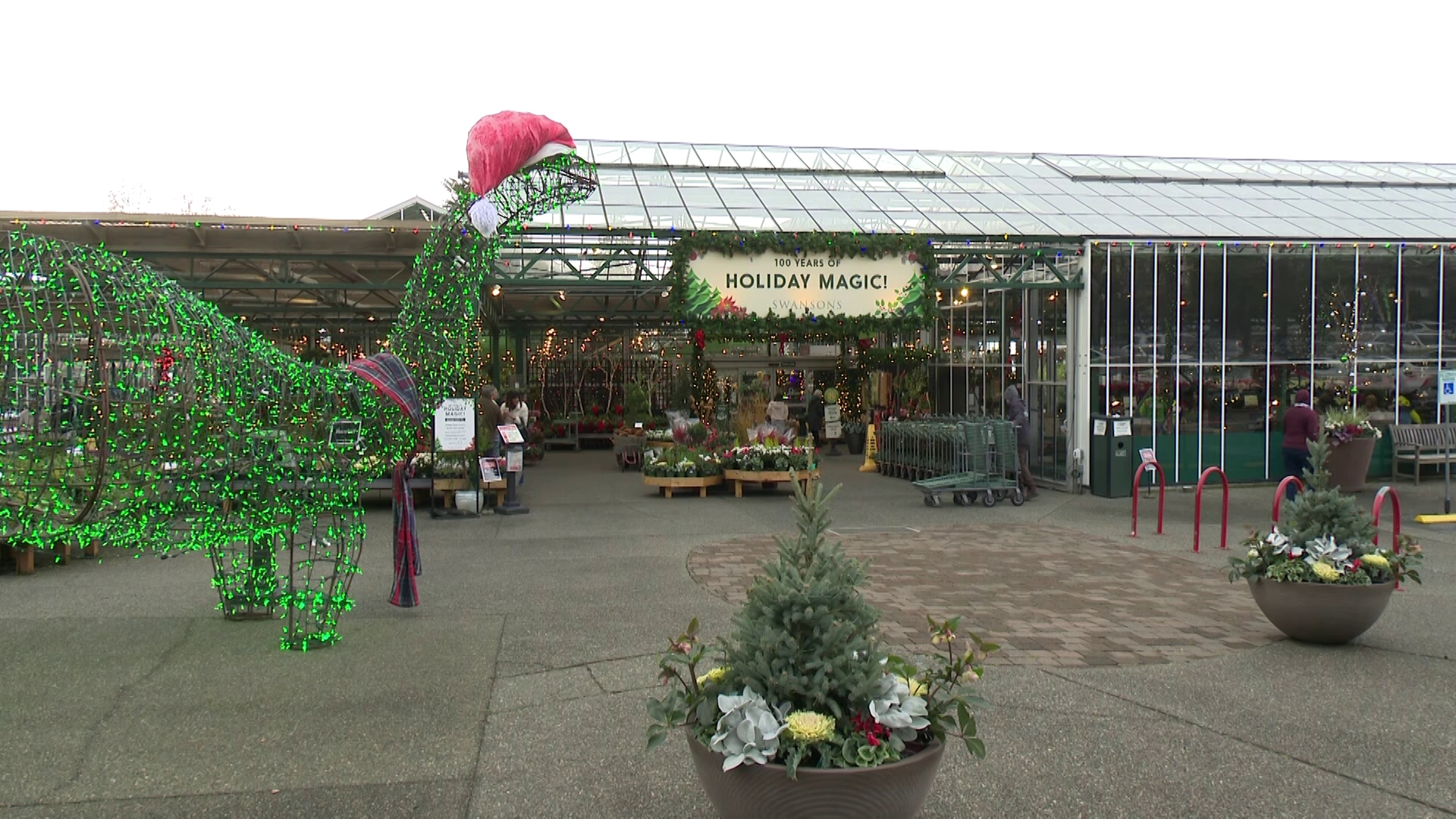 Swansons Nursery began as a five-acre field that August and Selma Swanson bought in north Ballard in the 1920s.