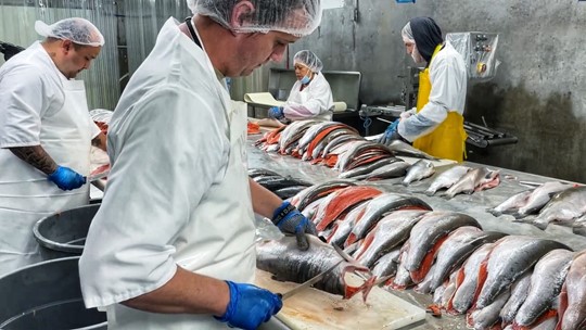 Anacortes-based SeaBear Smokehouse has been open for 65 years | king5.com