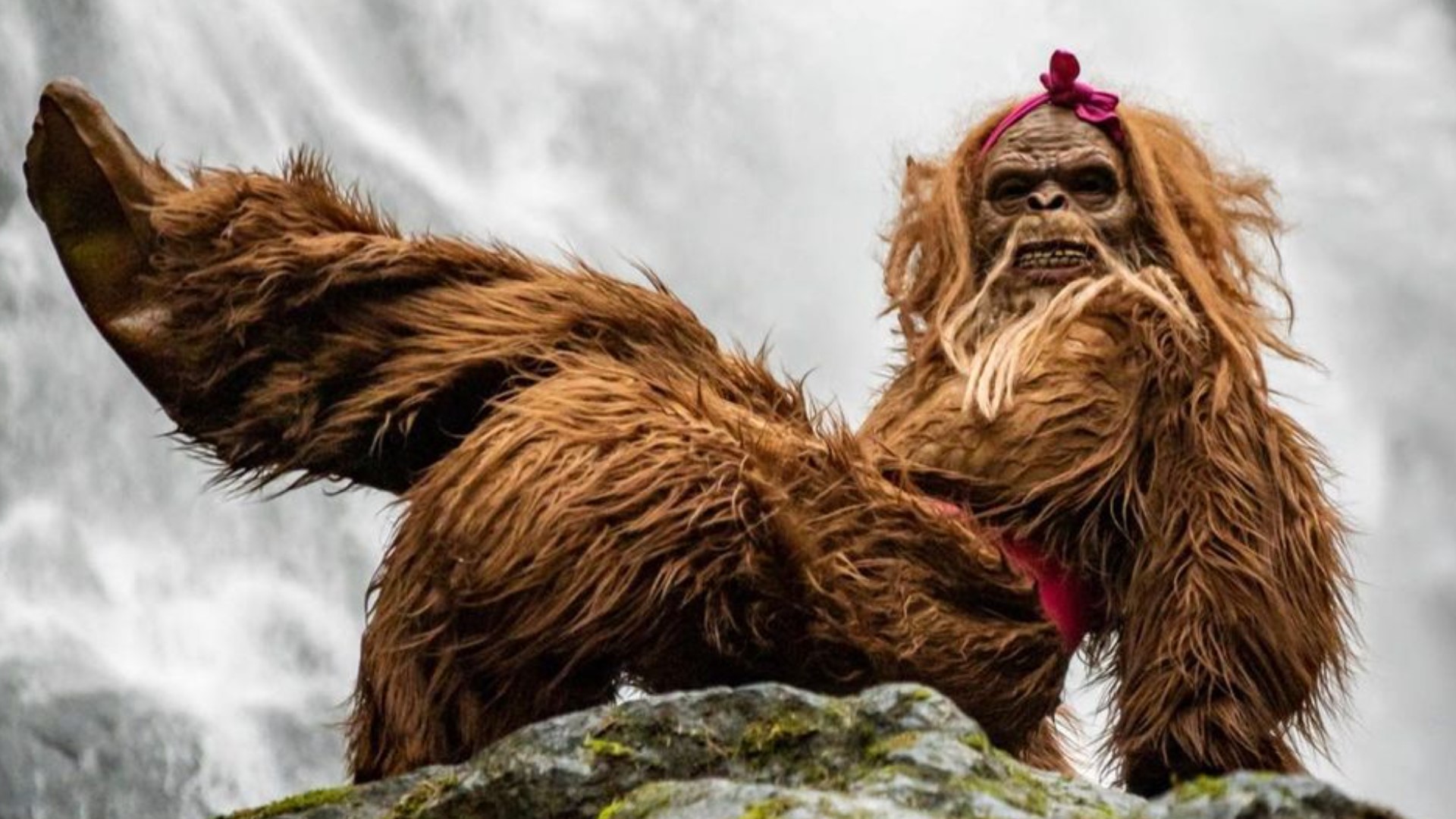 Bigfoot Bae is stepping out of the Pacific Northwest woods and getting on Instagram! She's dancing her way into the hearts of thousands. #k5evening