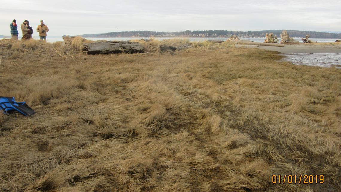 Why do human feet inside of shoes wash ashore in the Salish Sea ...