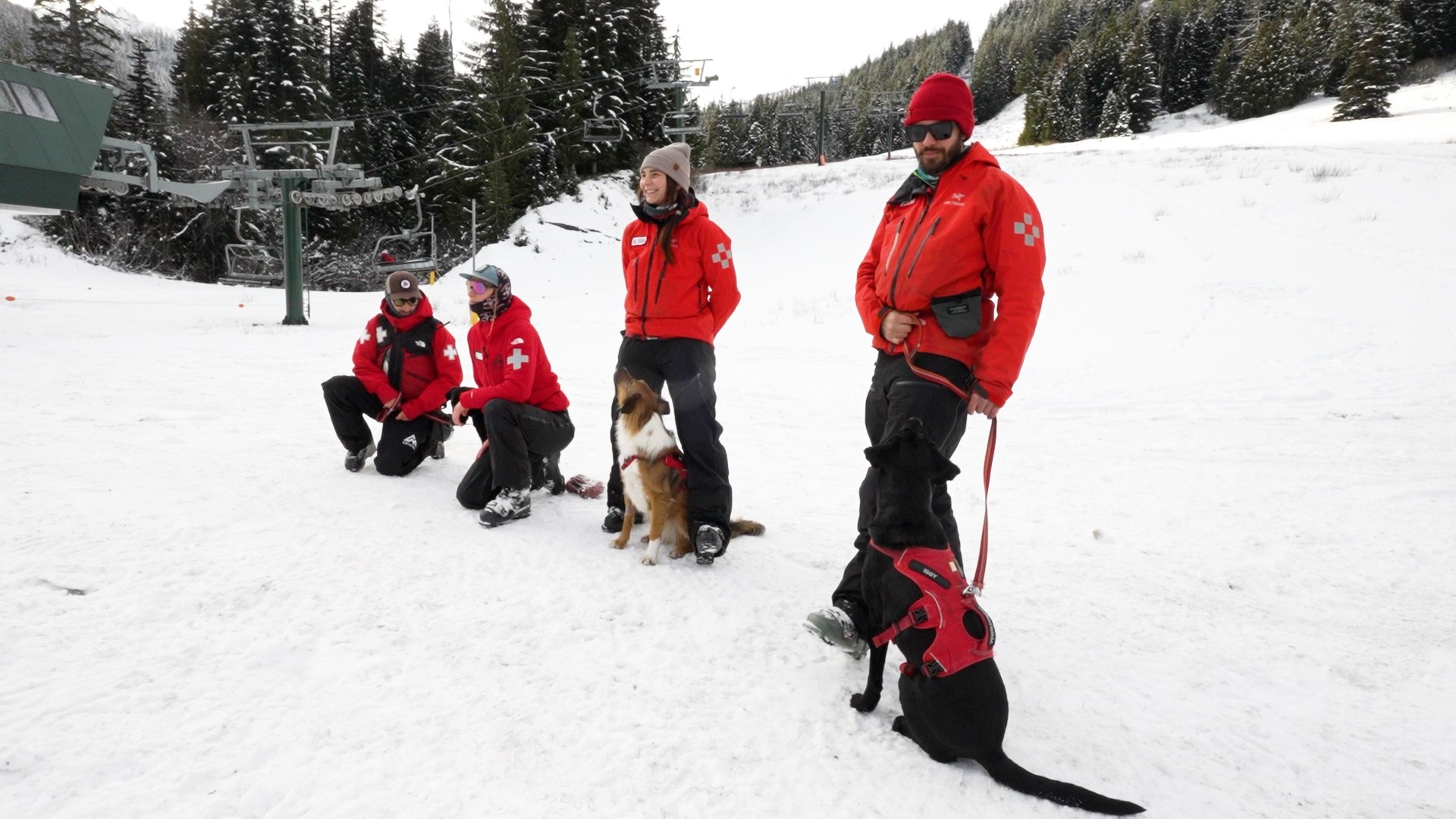 Avalanche Dog Education Days at Crystal Mountain. #k5evening