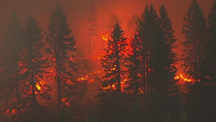 U.S. government to spend $490 million on wildfire prevention