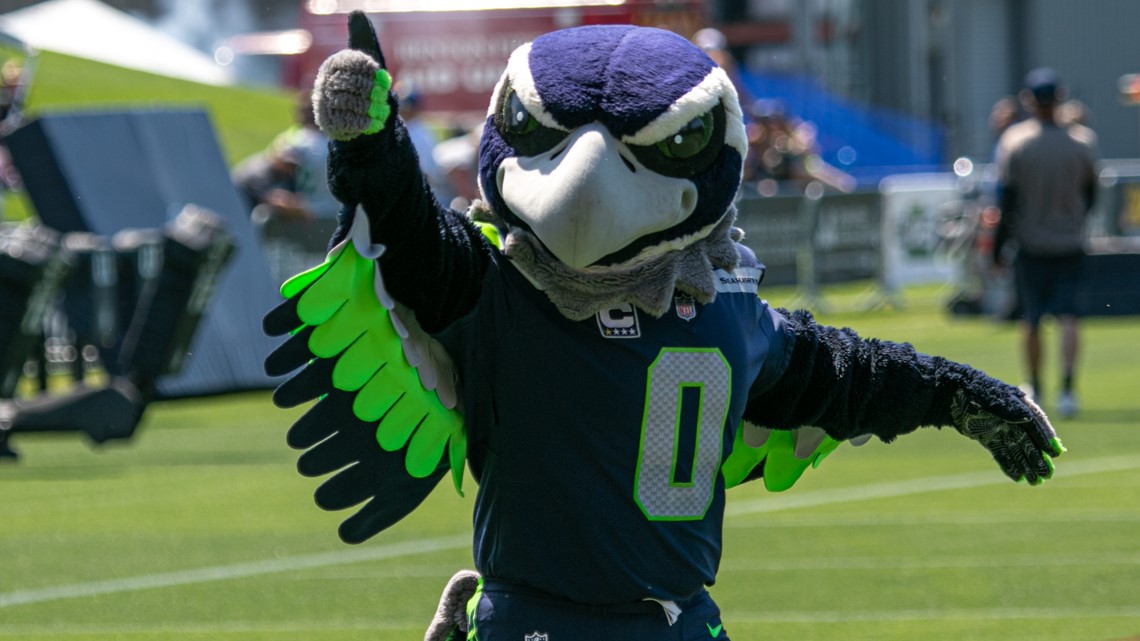 10 Seattle Seahawks Mascot - Blitz ideas