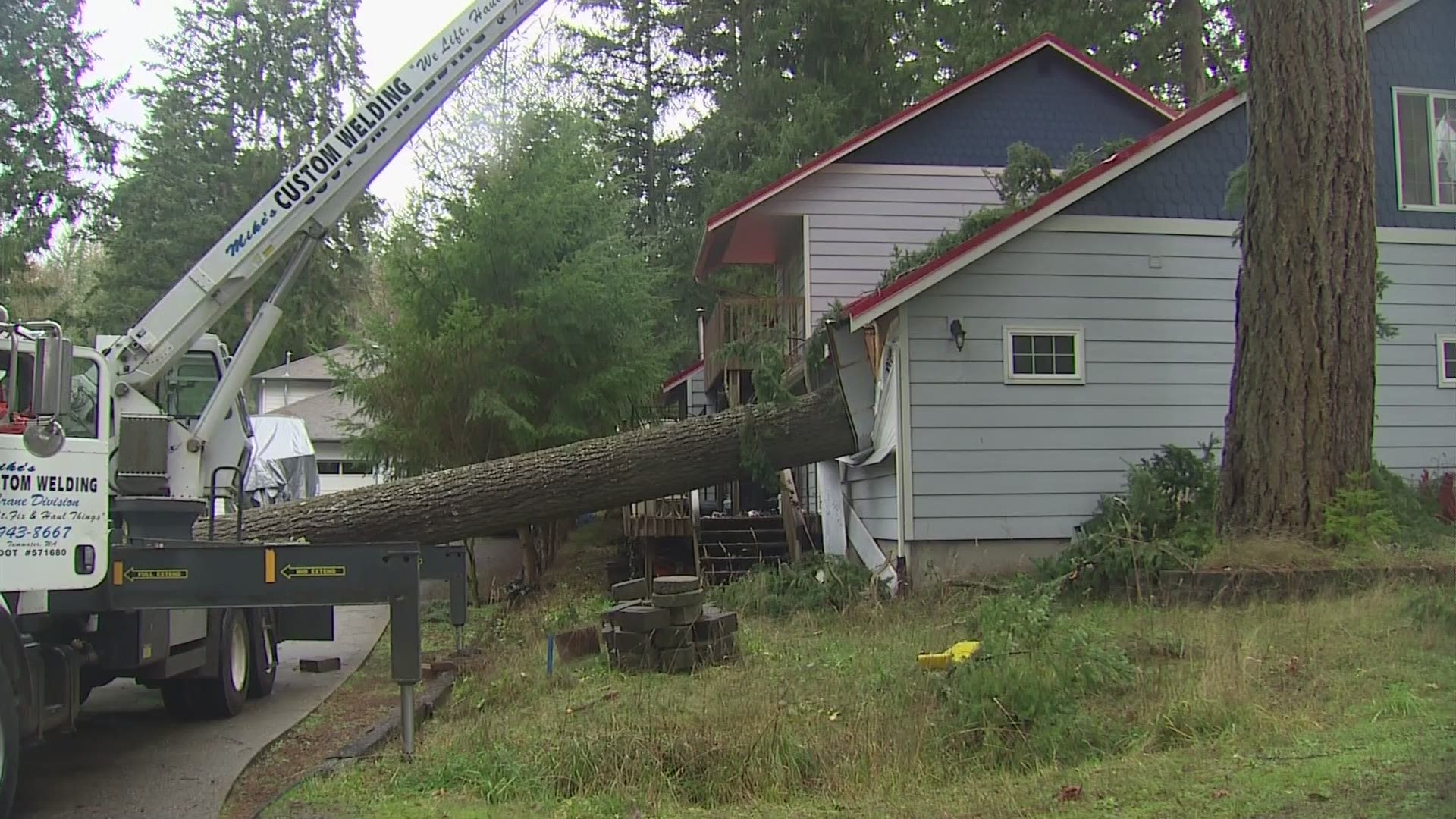 Strong winds cause a tree to fall onto a house in Olympia Thursday.