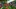 Tulips in bloom: Scenes from the 2022 Skagit Valley Tulip Festival