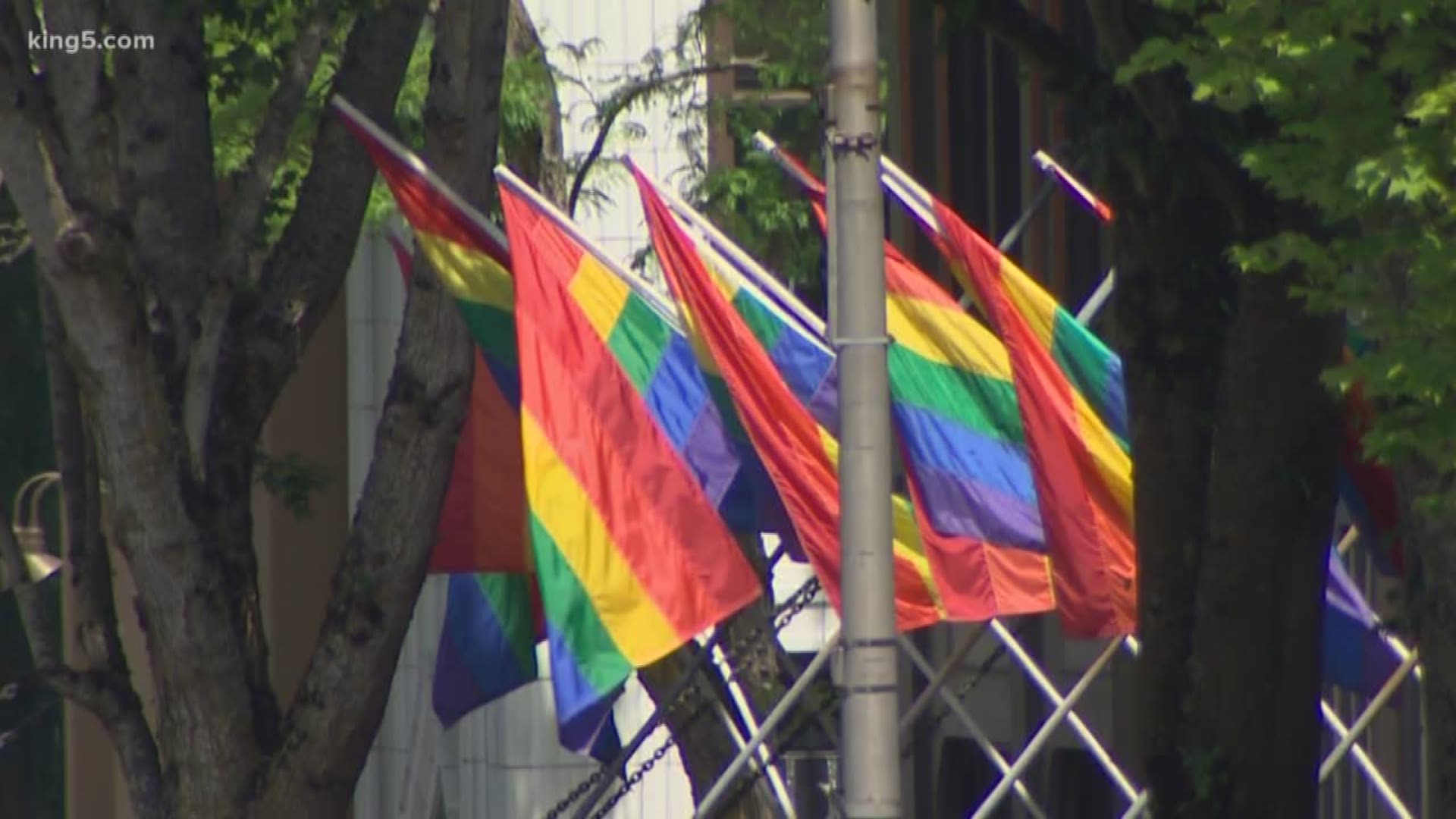 Gov. Jay Inslee raised a rainbow flag on Monday to kick off Pride Week in Olympia. KING 5's Drew Mikkelsen reports.