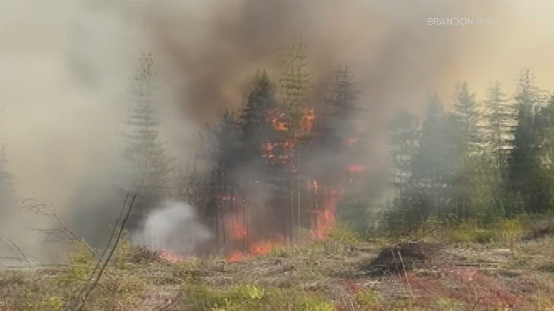 Residents along Toonerville Road in Belfair are under urgent orders to evacuate.