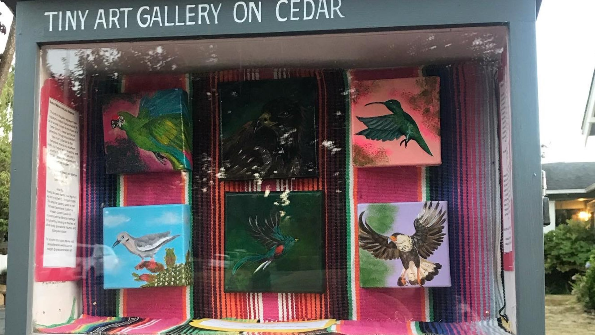 Tiny Art Gallery on Tacoma's Cedar Street entertains neighborhood ...