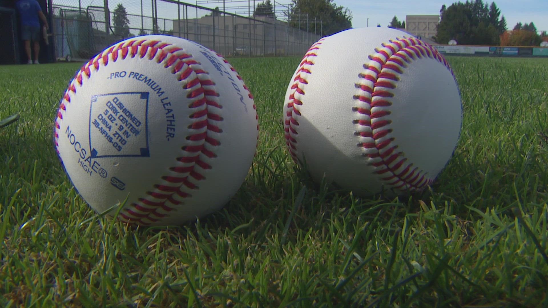 Heres what you need to know about baseball rules, terminology king5