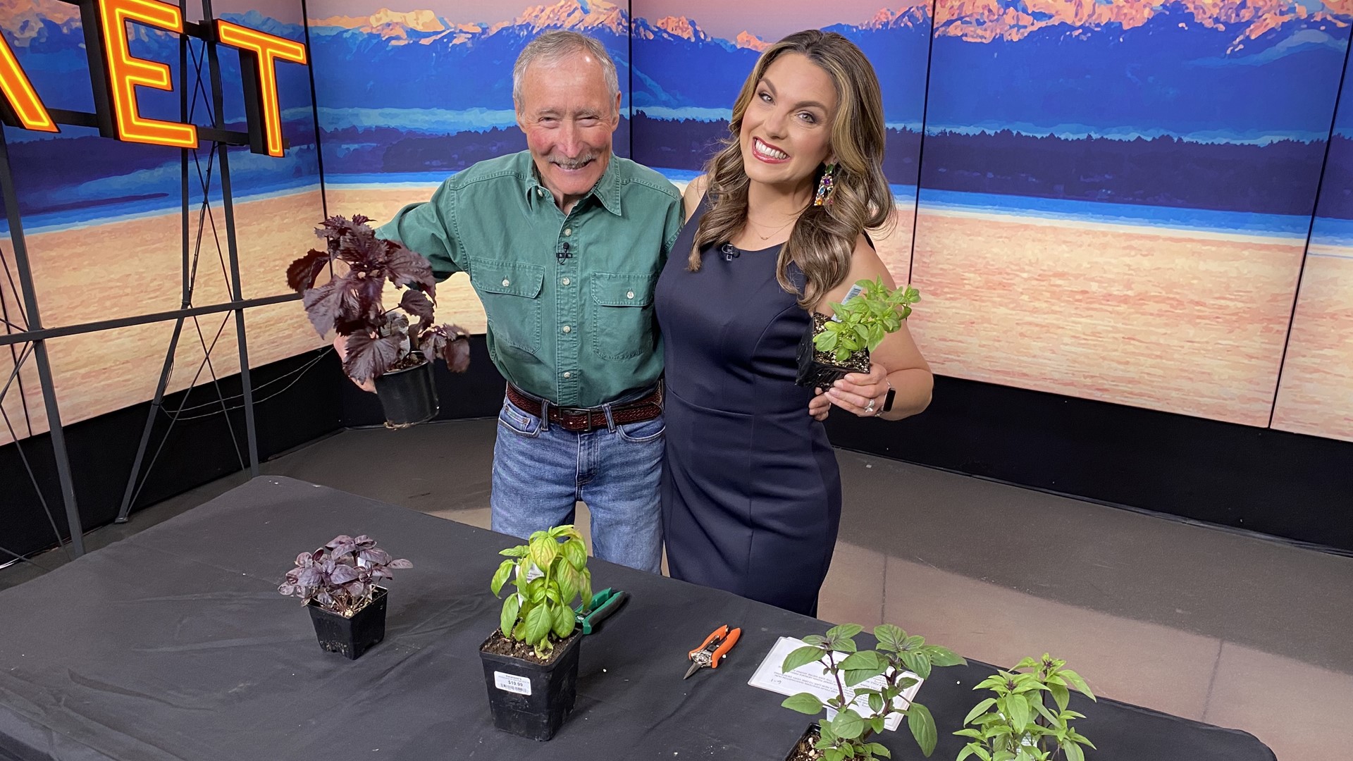 Gardening expert Ciscoe Morris also shares his six favorite varieties of basil.