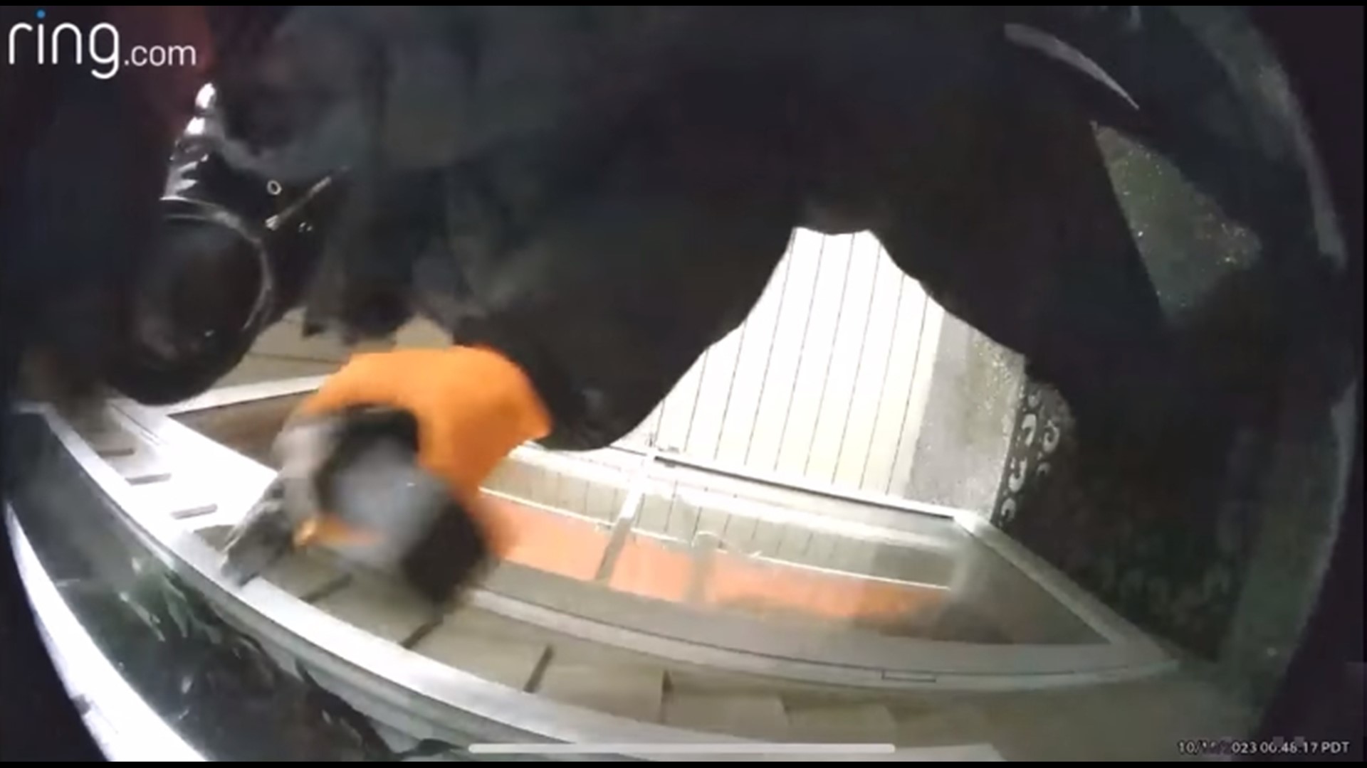 Attempted home invasion in Kent caught on Ring security camera | king5.com