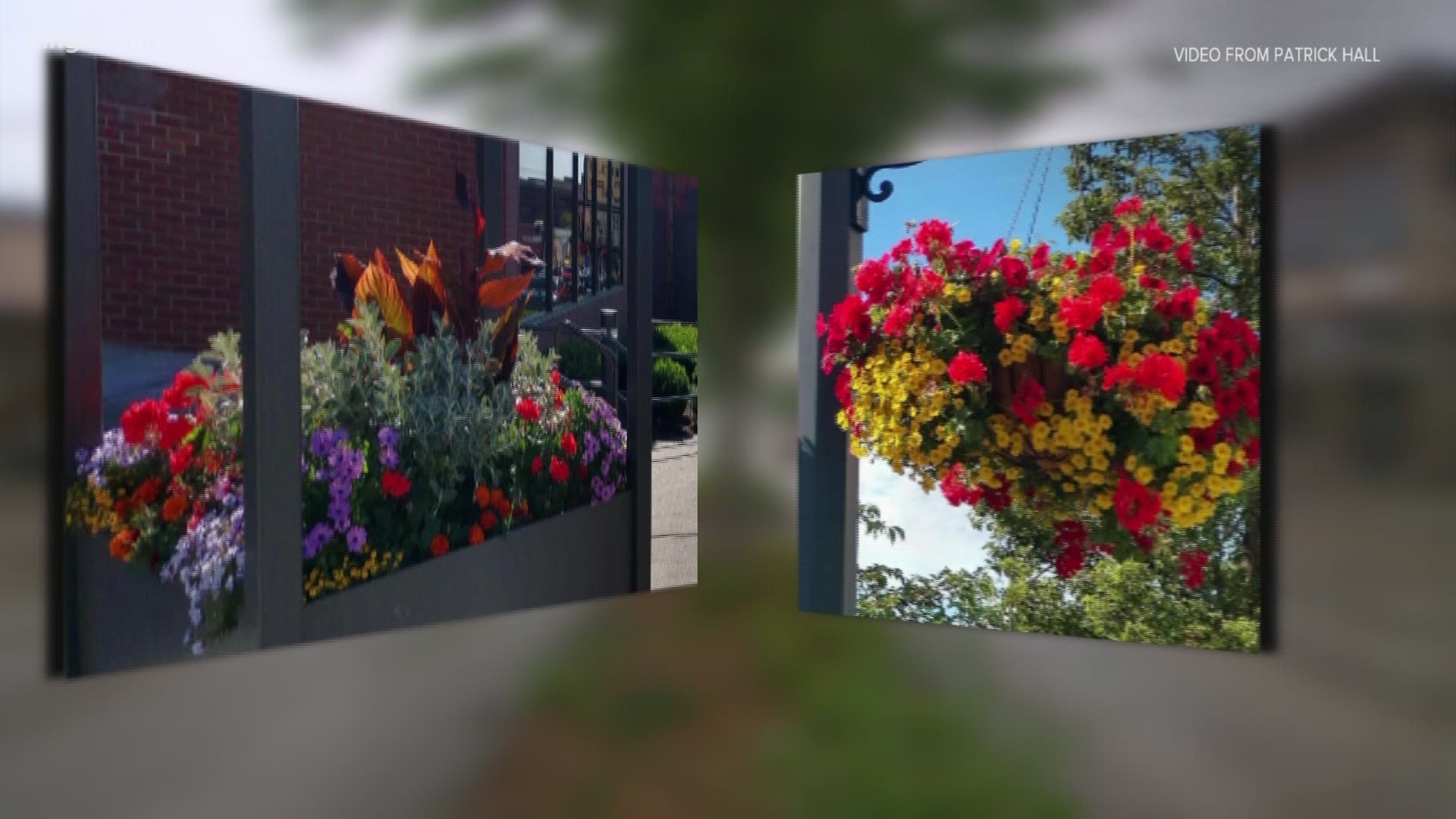 The move saves Viva Color, a downtown beautification program that was cut by the city of Everett due to a $14 million shortfall caused by the coronavirus pandemic.