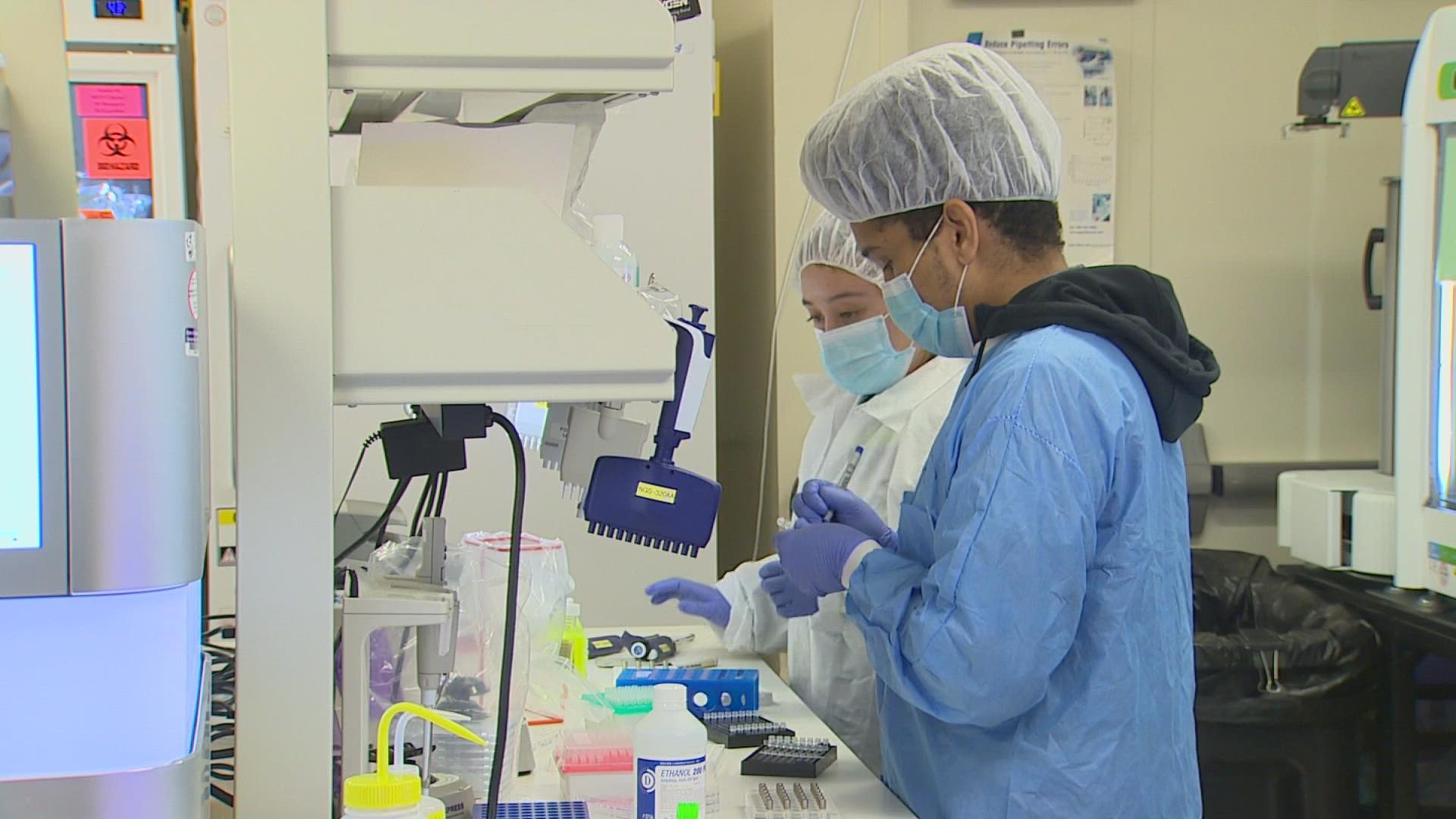 King County could see 2,000 new daily COVID-19 cases within a week, according to projections from the University of Washington Virology lab.