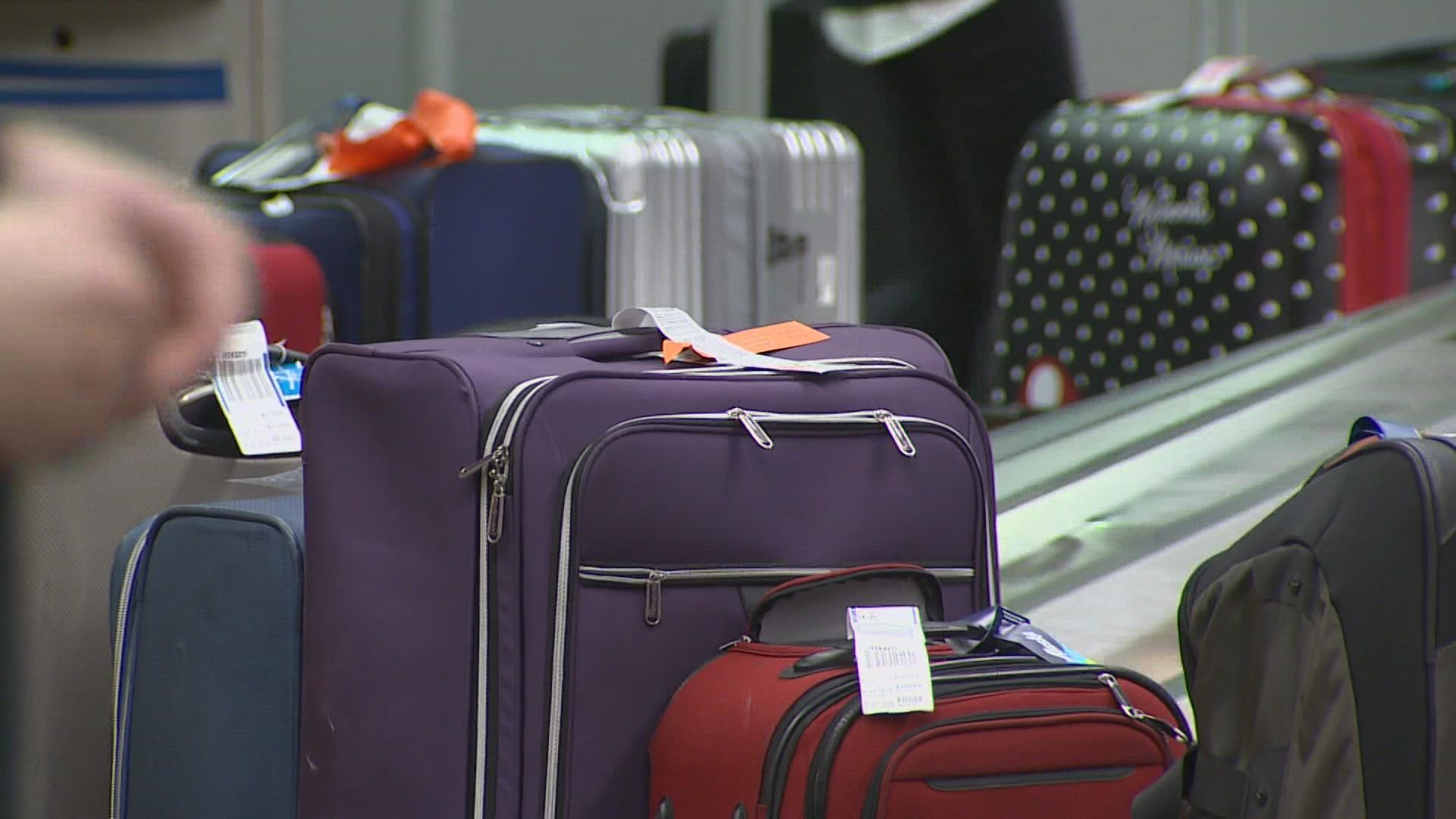 sea tac rolling backpack