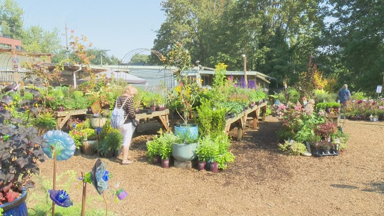 City People's Garden searches for new space