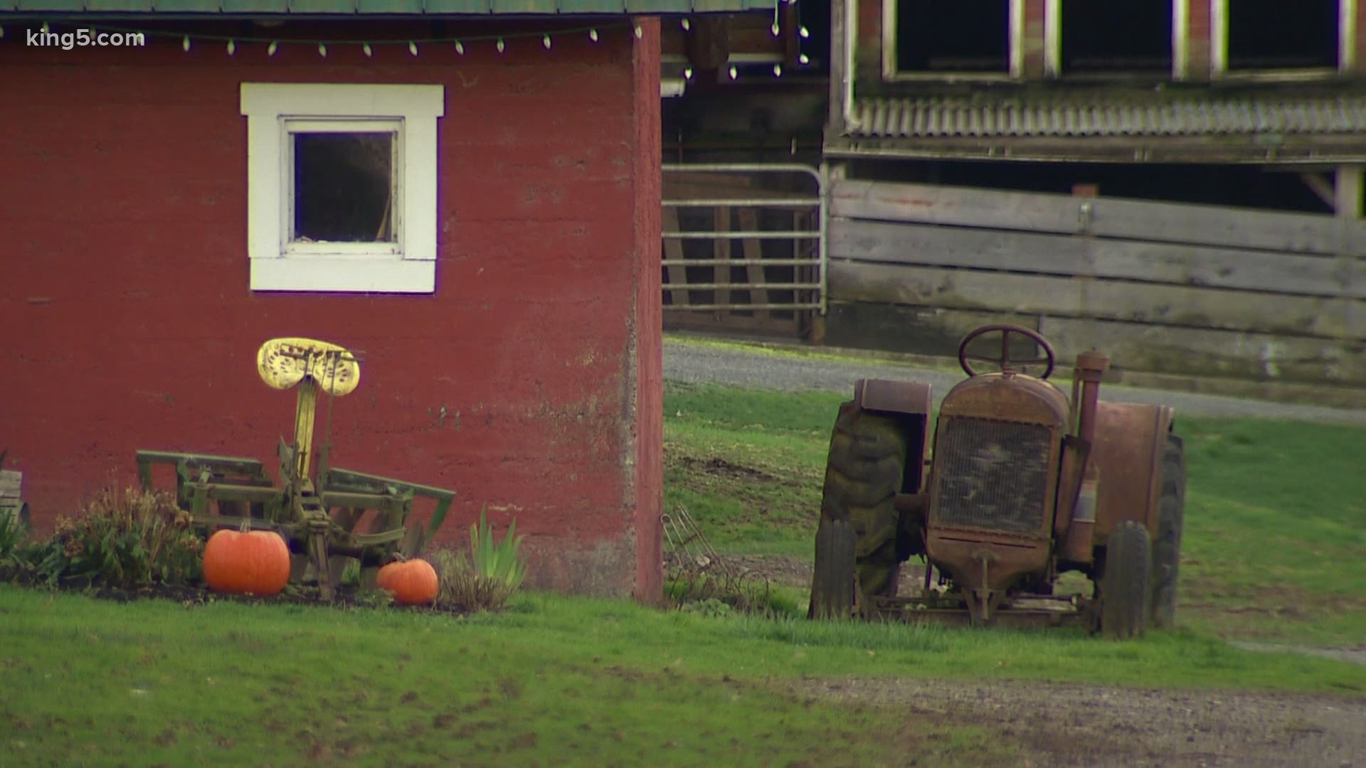 Snohomish County hopes to turn buildings at McCollum Park in Everett into a processing and distribution center for local farmers to use.