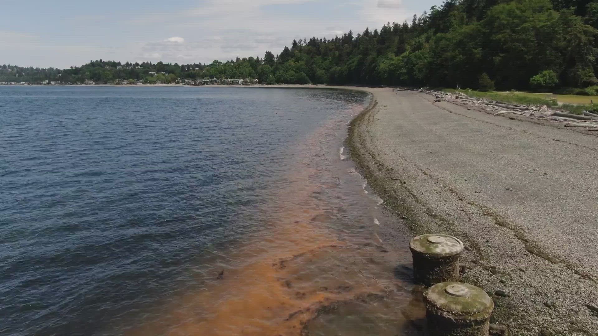The blooms that can cause orange water are seasonal in the Pacific Northwest.