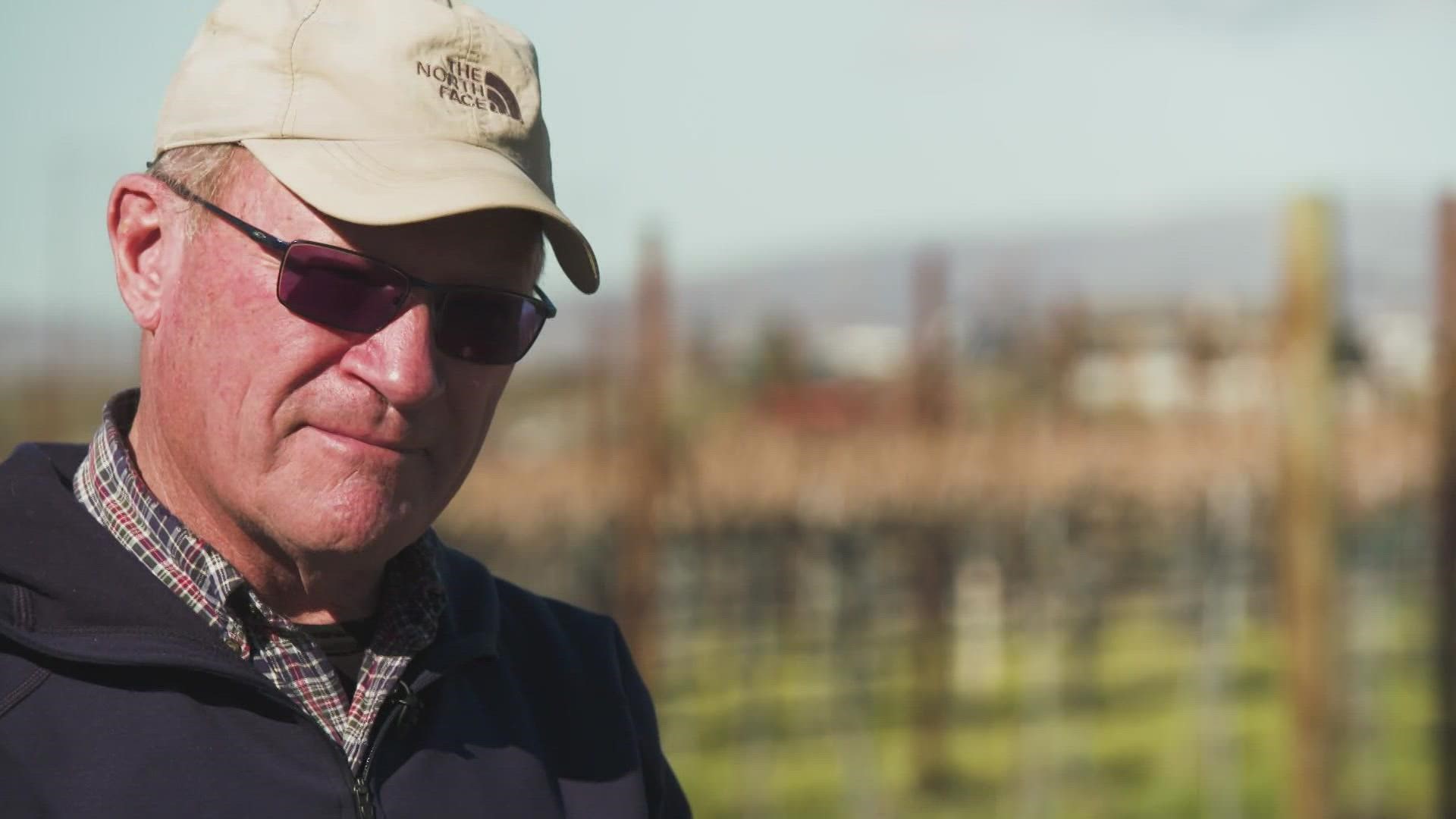 Washington's wine industry has had to make several changes over the past few years.  Higher temperatures and wildfire smoke have forced growers to adapt.