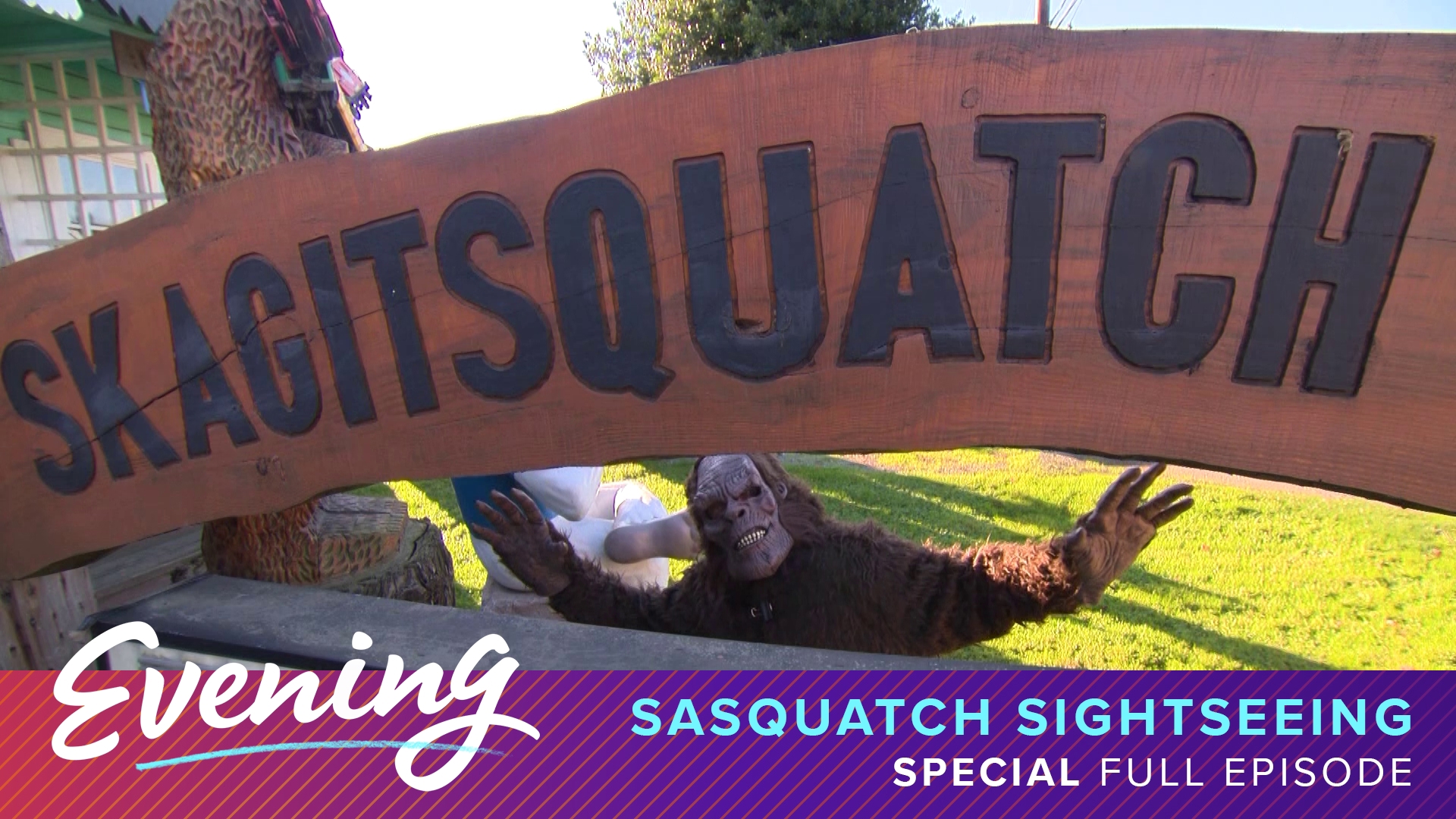 The ultimate guide to Sasquatch spotting in western Washington - KING 5 ...