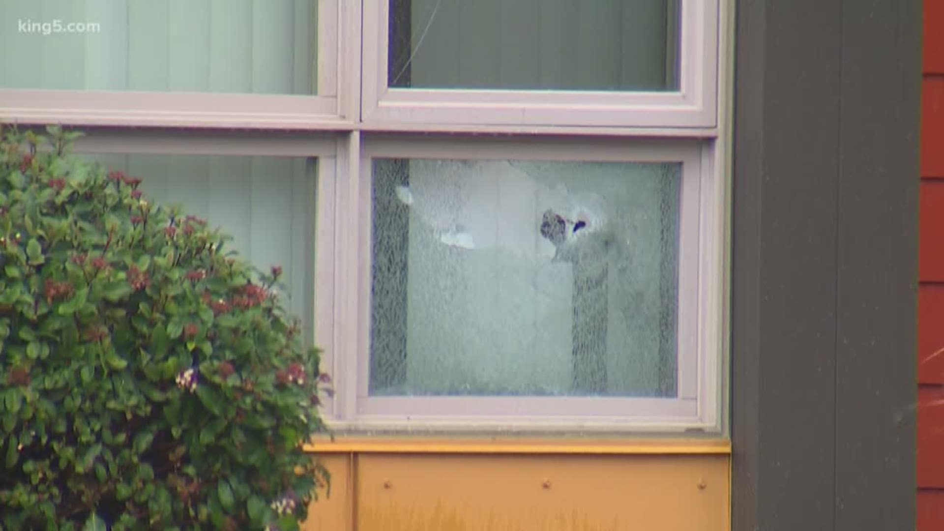 A man was killed and two officers were hurt after an overnight shooting. This began unfolding just after midnight on 14th Avenue South in Federal Way.